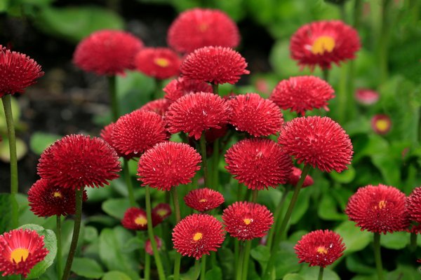 Découvrez les affiches uniques de la région de l'occitanie